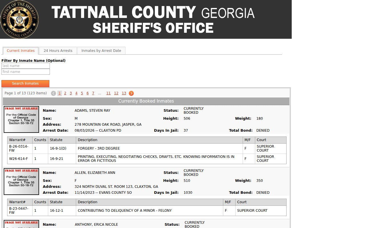 Tattnall County warrant check custody interface